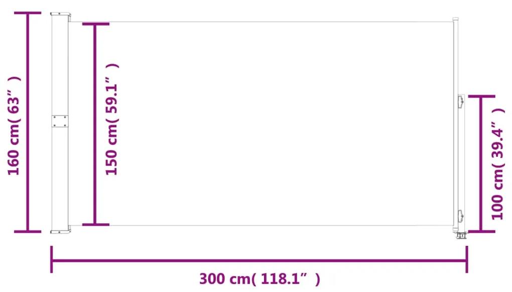 Copertina laterala retractabila de terasa, maro, 160 x 300 cm Maro, 160 x 300 cm