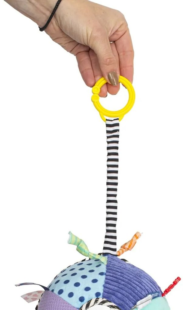 Baby Mix Jucărie interactivă Roată, 33 cm