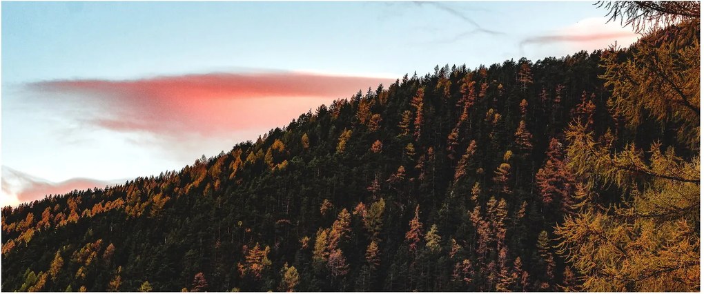 Tablou - Zori de zi (120x50 cm)