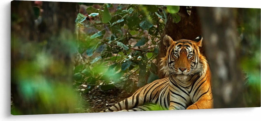 Tablou - Tigru odihnindu -se (120x50 cm)