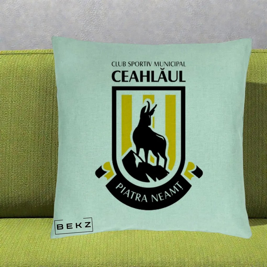 Perna Personalizata CSM Ceahlaul Piatra Neamt Fotbal, 40x40 cm, Verde Menta, Husa Detasabila, Perna Inclusa, BEKZ®