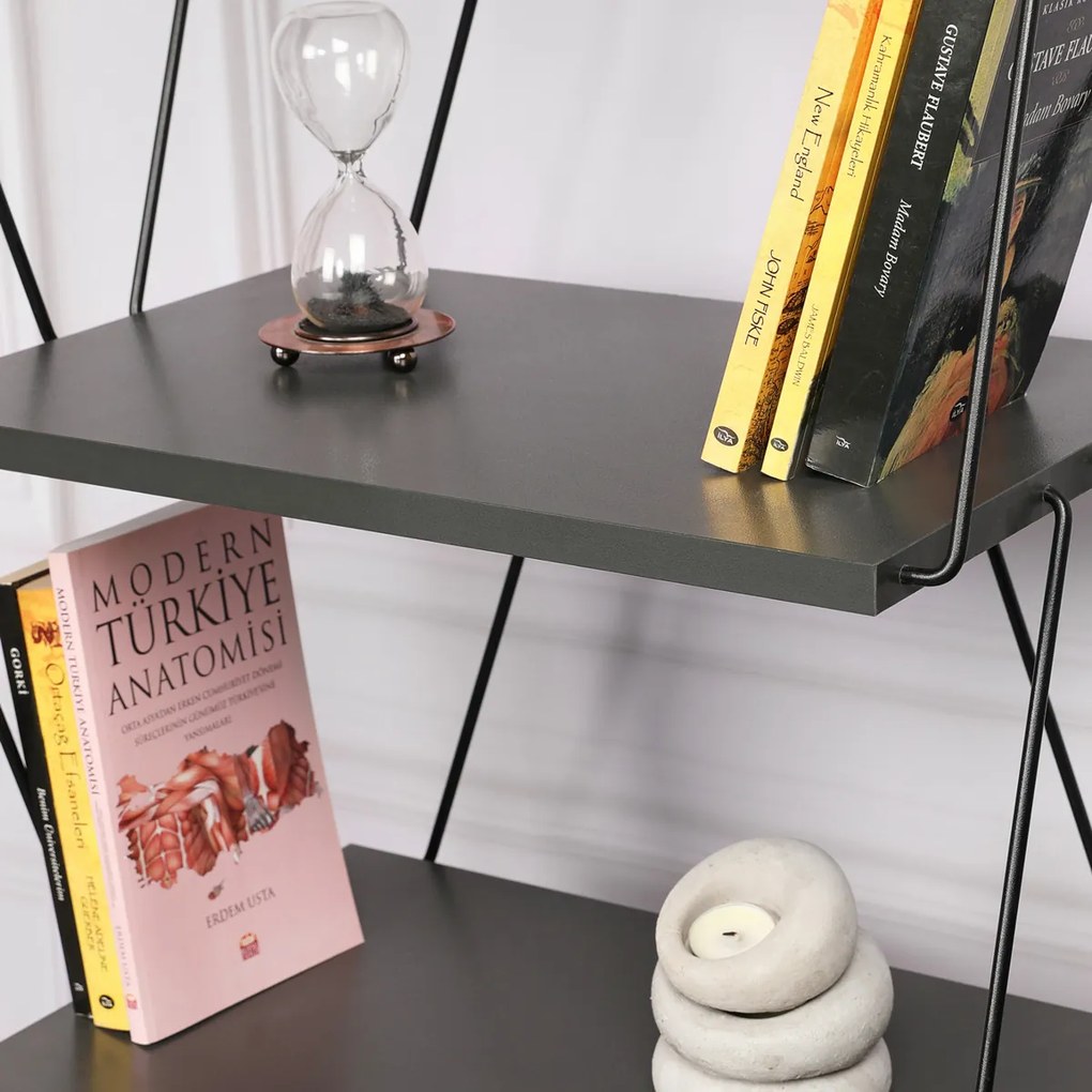 Biblioteca Balaban Antracit