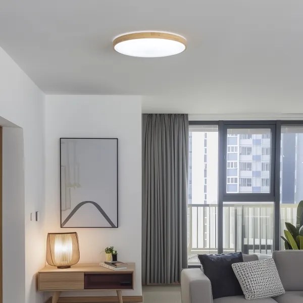 Brilagi - Plafonieră LED dimabilă PINE LED/60W/230V + telecomandă