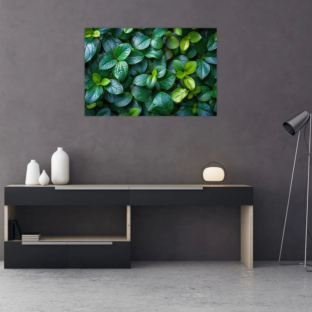 Tablou - Plante verzi (90x60 cm)