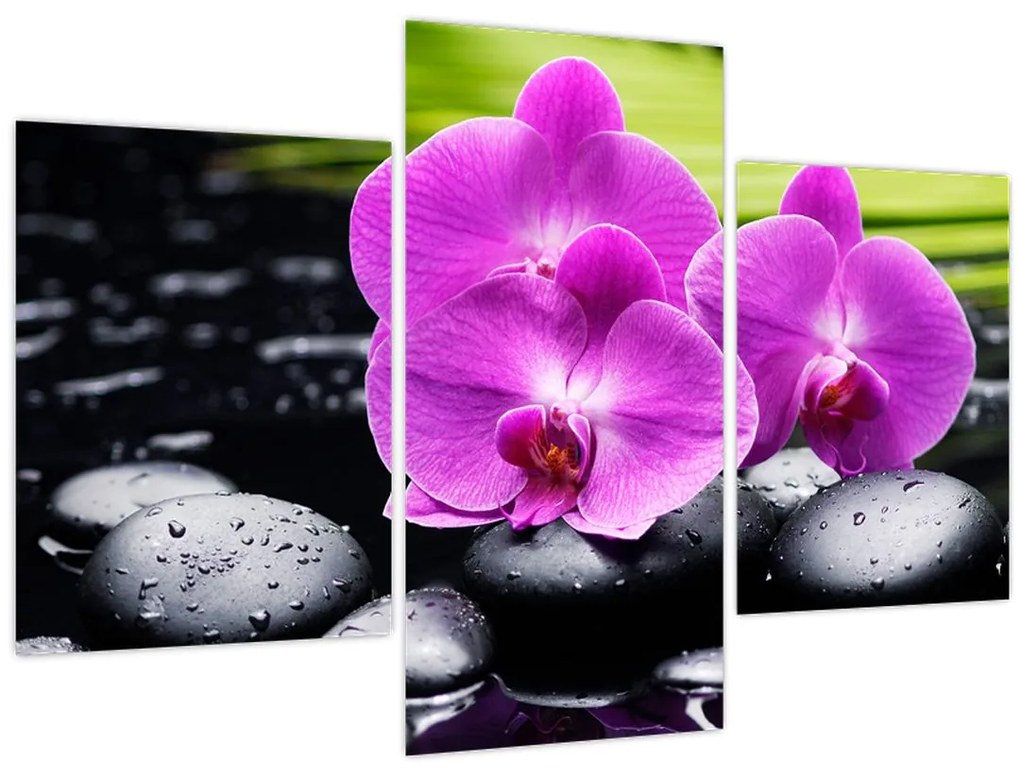 Tablou - Orhidee (90x60 cm)
