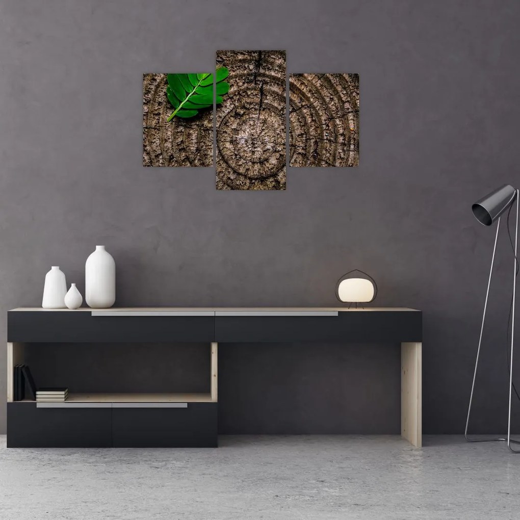 Tablou cu frunză pe trunchi de copac (90x60 cm)