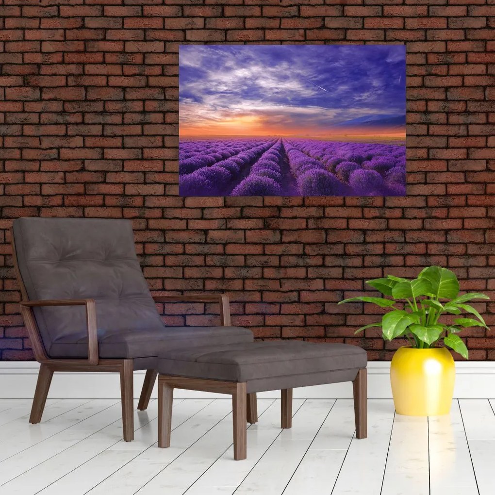 Tablou câmpului cu lavandă (90x60 cm)