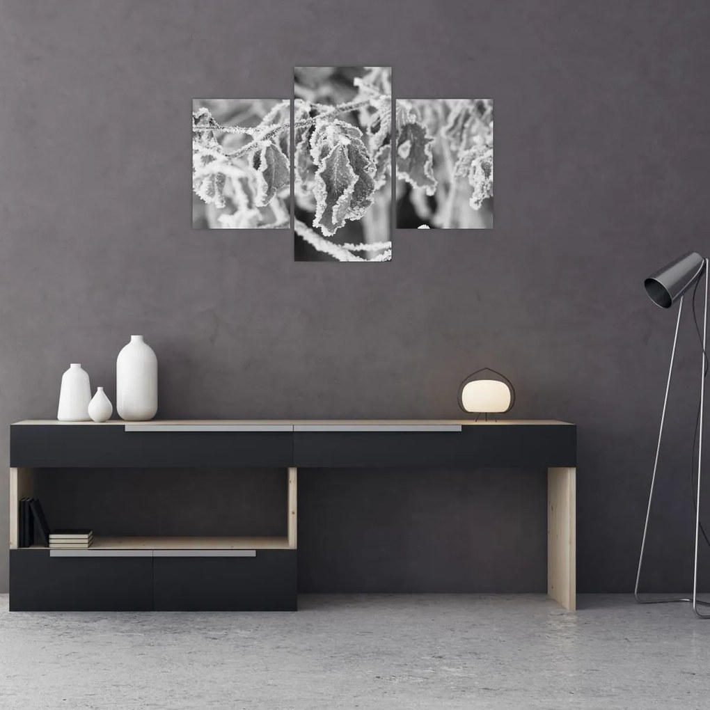 Tablou - Frunze înghețate,alb-negru (90x60 cm)