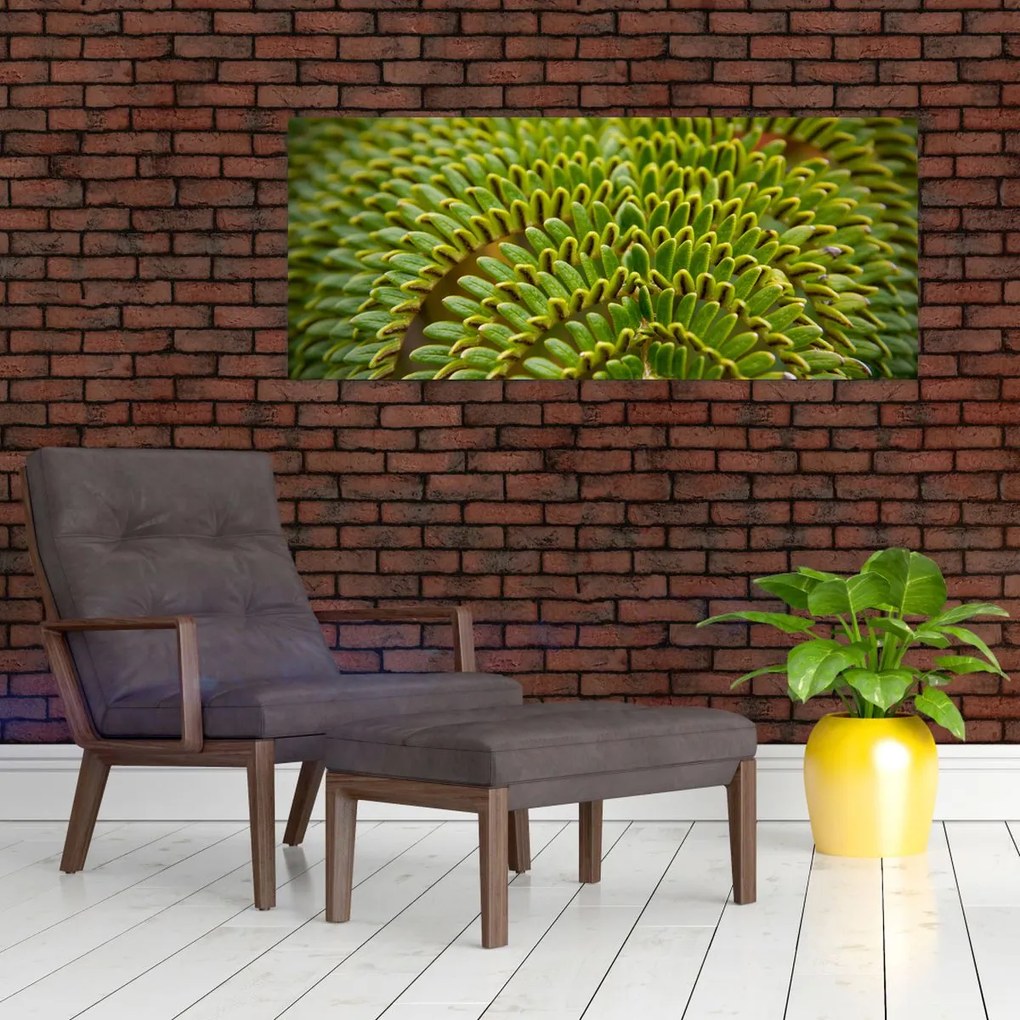 Tablou - Fern (120x50 cm)