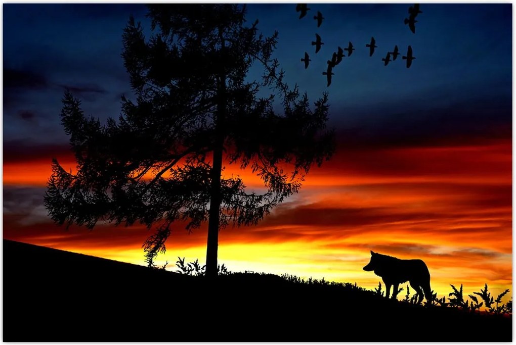 Tablou - Silueta unui lup (90x60 cm)