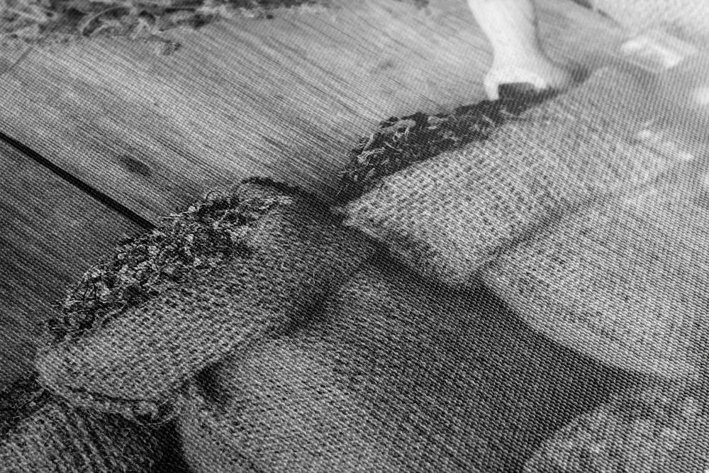Tablou plante medicinale în design alb-negru
