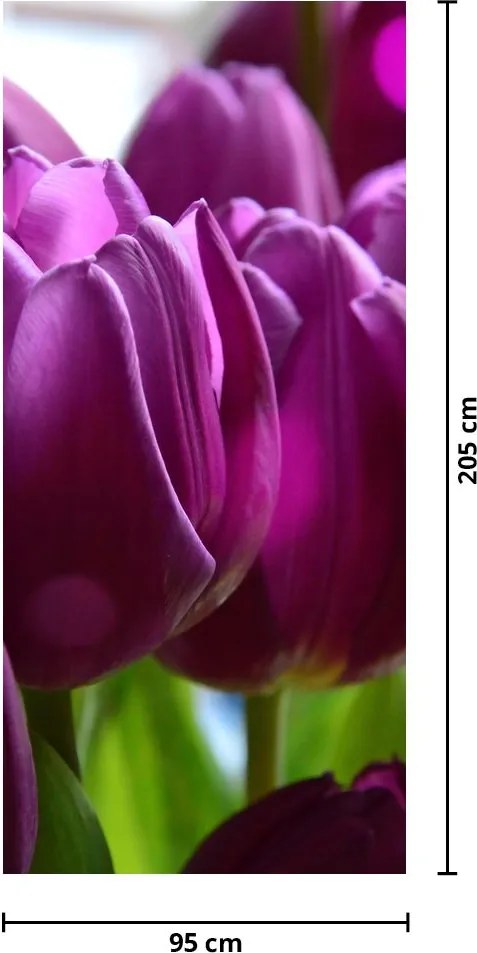 Fototapet pentru ușă - Lalele (95x205cm)