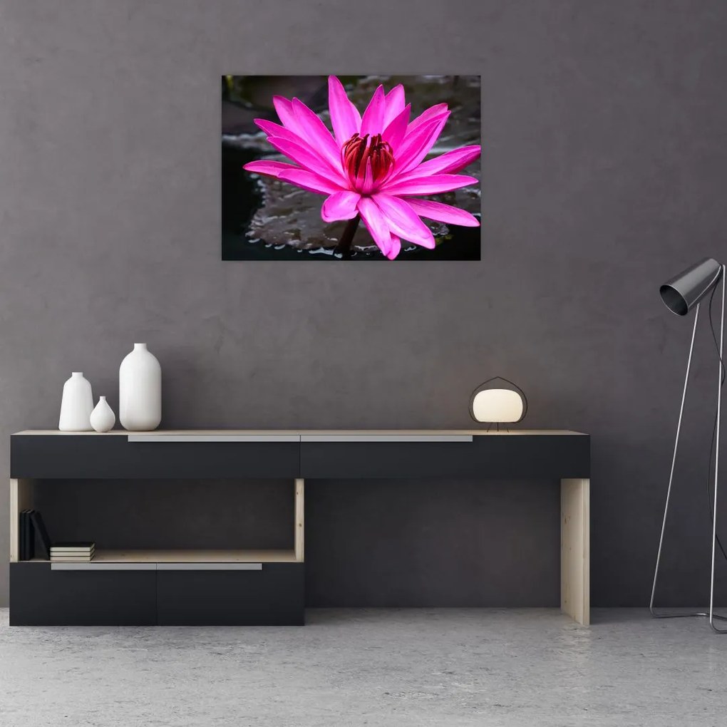 Tablou pe sticlă - floarea roz (70x50 cm)