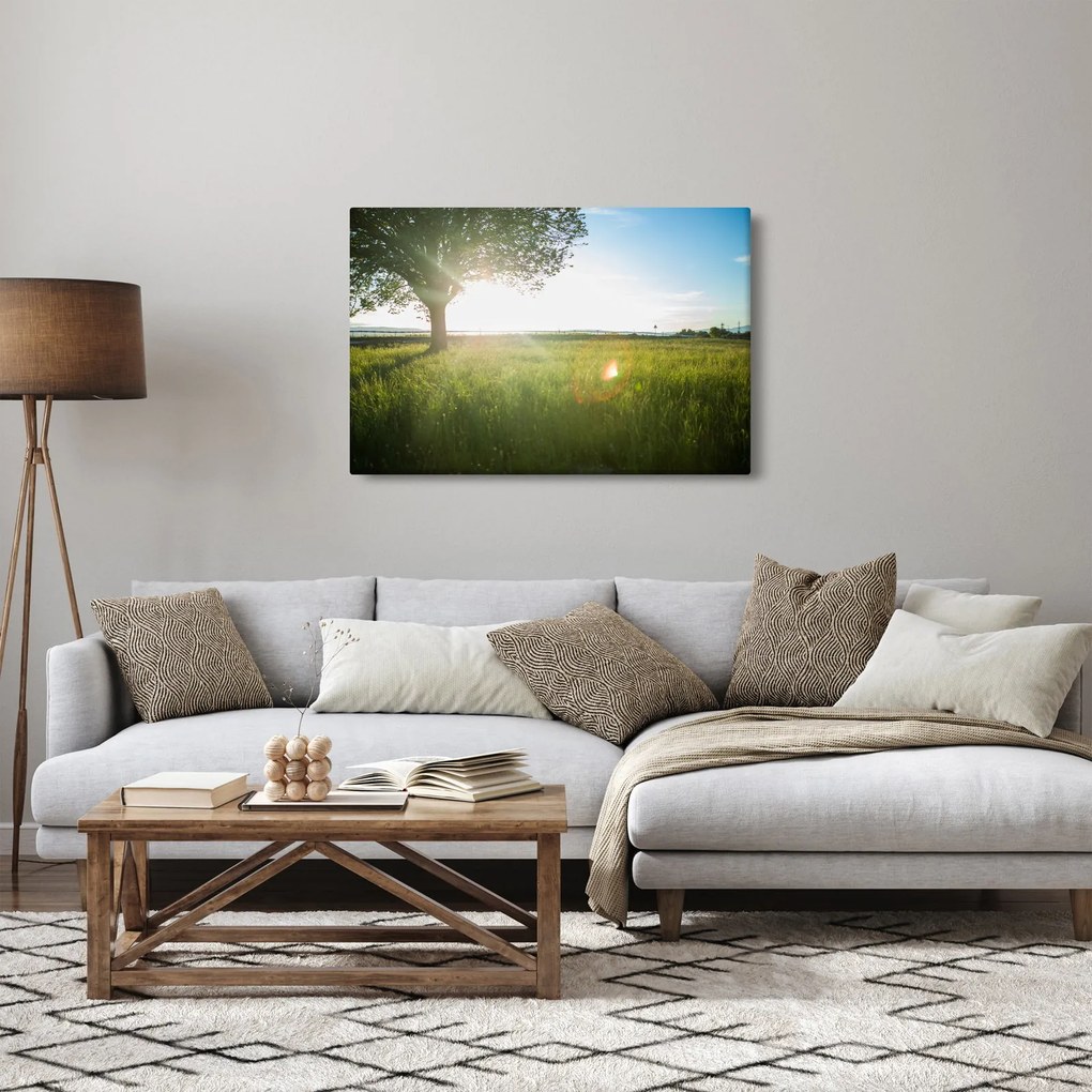 Tablou cu lunca în vară (90x60 cm)