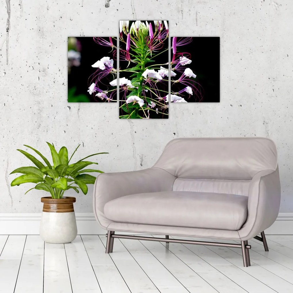 Tablou cu floare (90x60 cm)