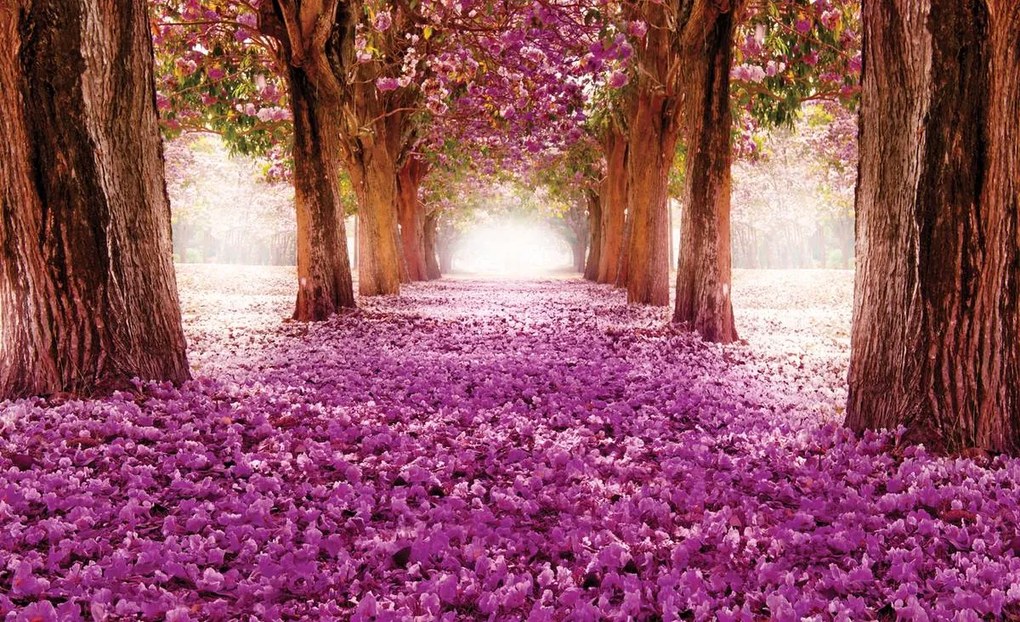 Fototapet - Alee (152,5x104 cm)