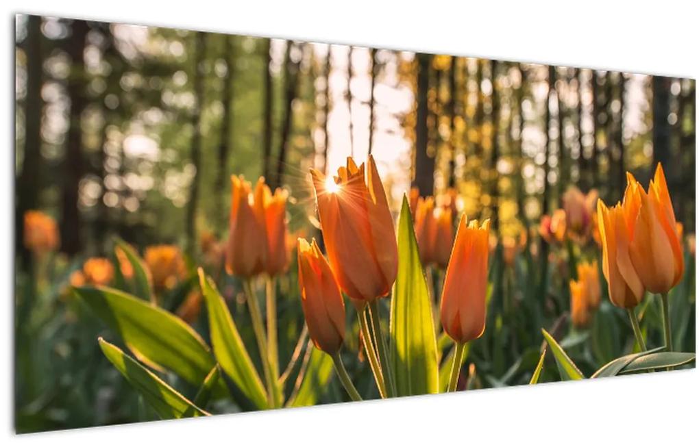 Tablou - florile lalelelor (120x50 cm), în 40 de alte dimensiuni noi