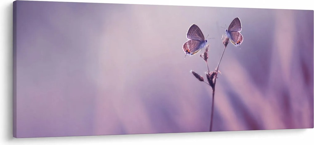 Tablou - Fluturi mov (120x50 cm)