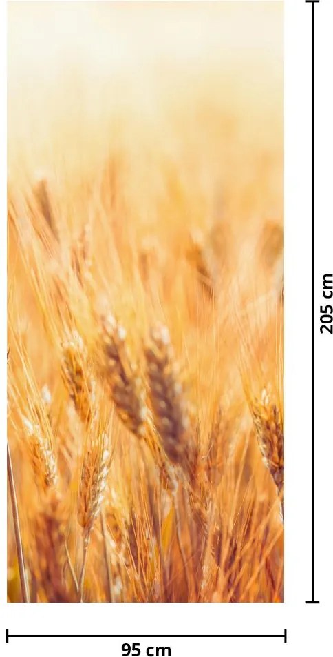 Fototapet pentru ușă - câmp cu cereale (95x205cm)