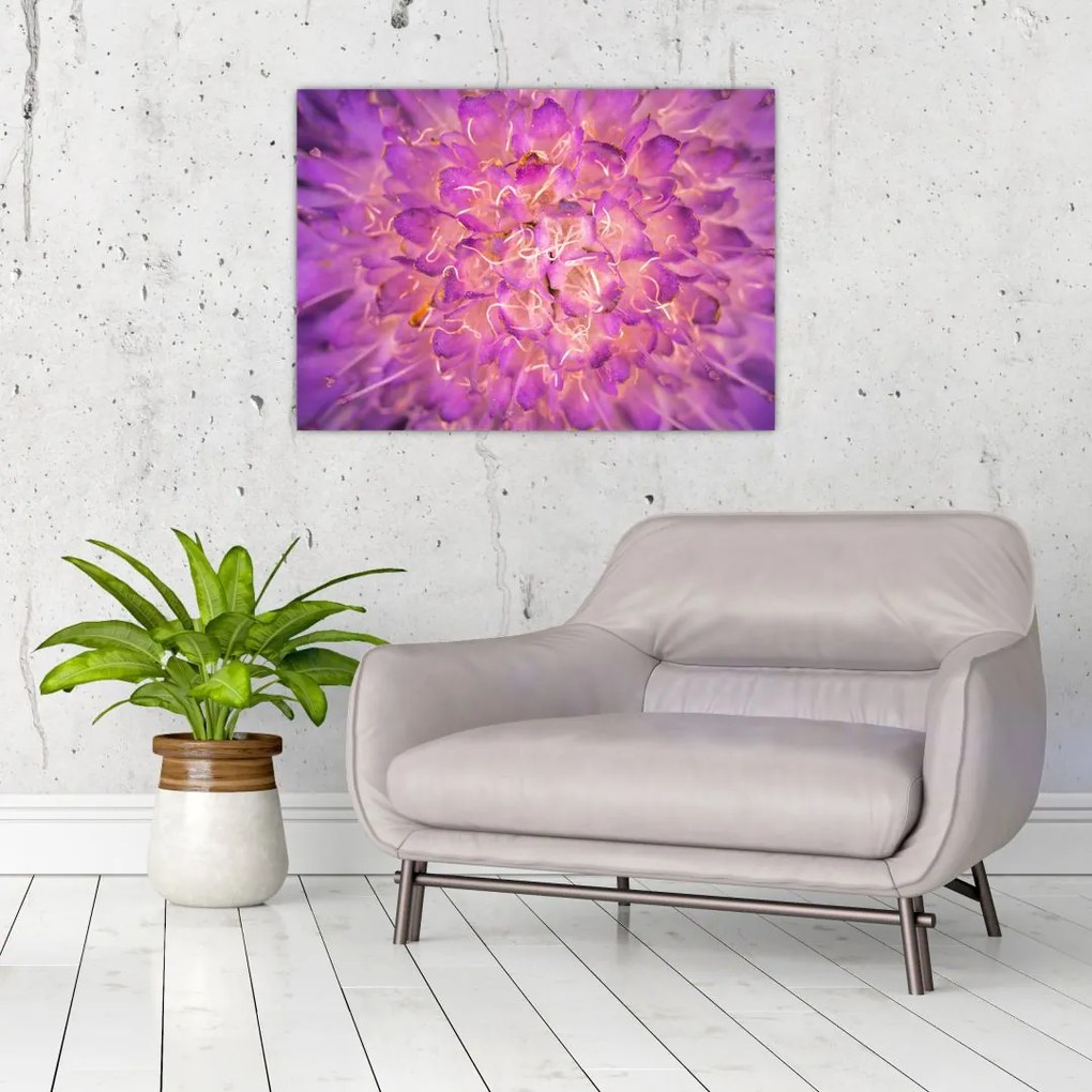 Tablou detailat cu floare (70x50 cm)