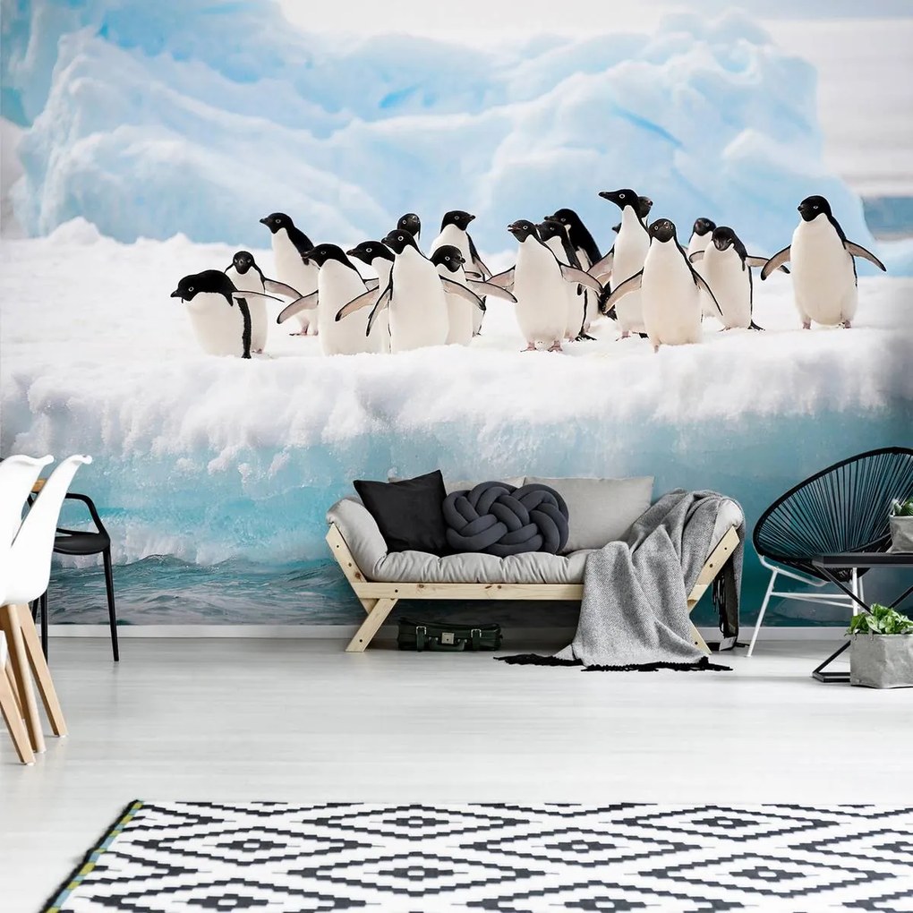 Fototapet - Pinguini (152,5x104 cm)