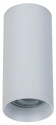 Spot aplicat de tavan/plafon Alfa MYC010CL-01W