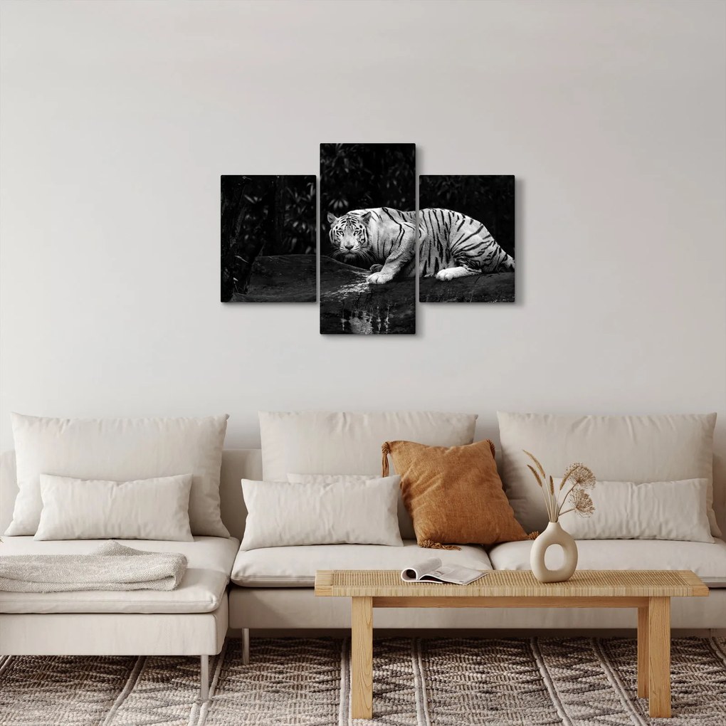 Tablou - Tigru alb, alb-negru (90x60 cm)