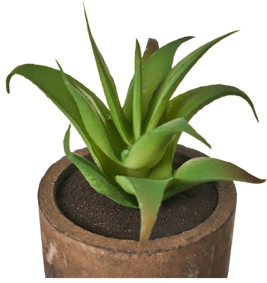 Plante artificiale 4 buc. Cactus – Casa Selección