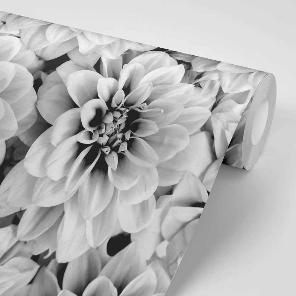 Fototapet flori de dalia în design alb-negru