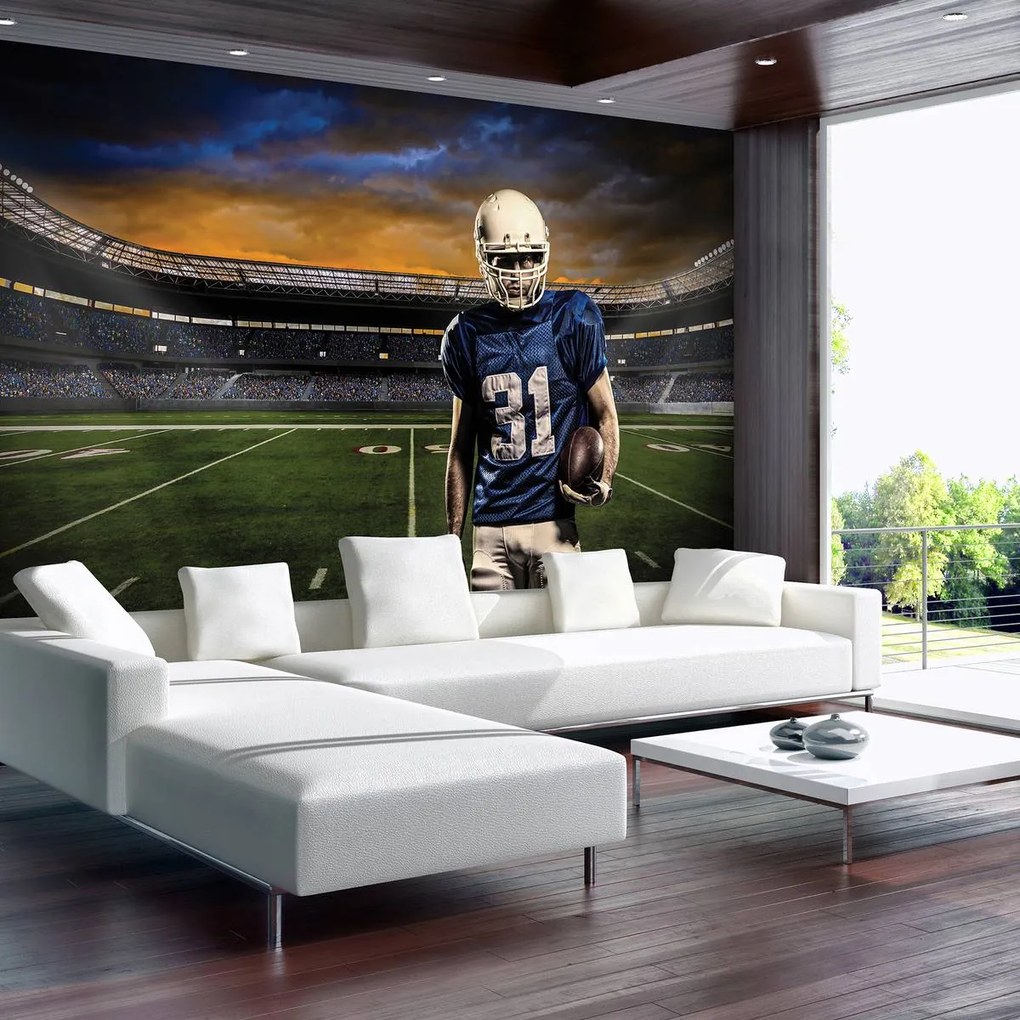 Fototapet - Stadion de Rugby (152,5x104 cm)
