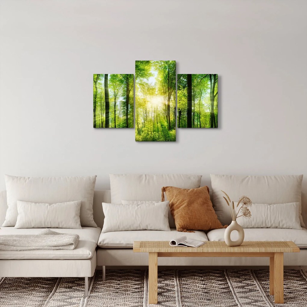 Tablou - Răsărit în pădure (90x60 cm)