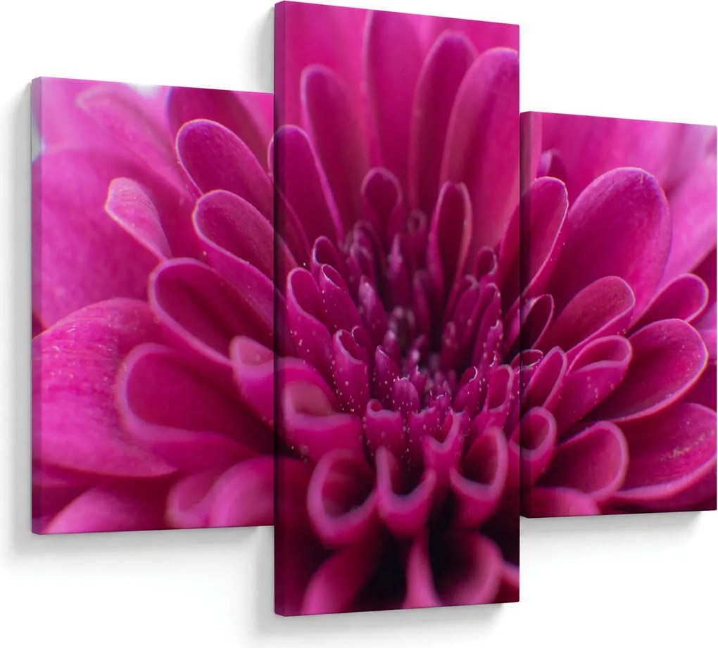 Tablou cu floare (90x60 cm)