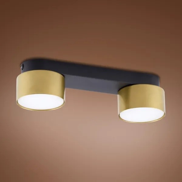 Spot SPACE GOLD 2xGX53/15W/230V