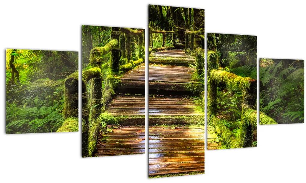 Tablou cu scări într-o pădure tropicală (125x70 cm), în 40 de alte dimensiuni noi