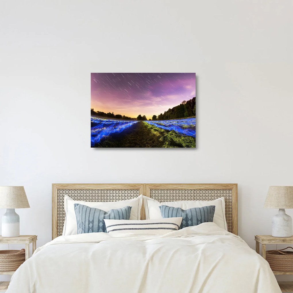 Tablou pe sticlă cu câmp colorat (70x50 cm)