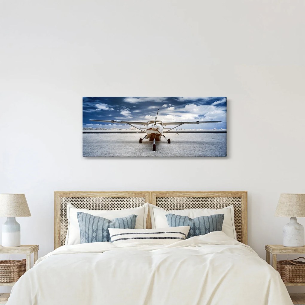 Tablou cu aeroplan cu motor (120x50 cm)