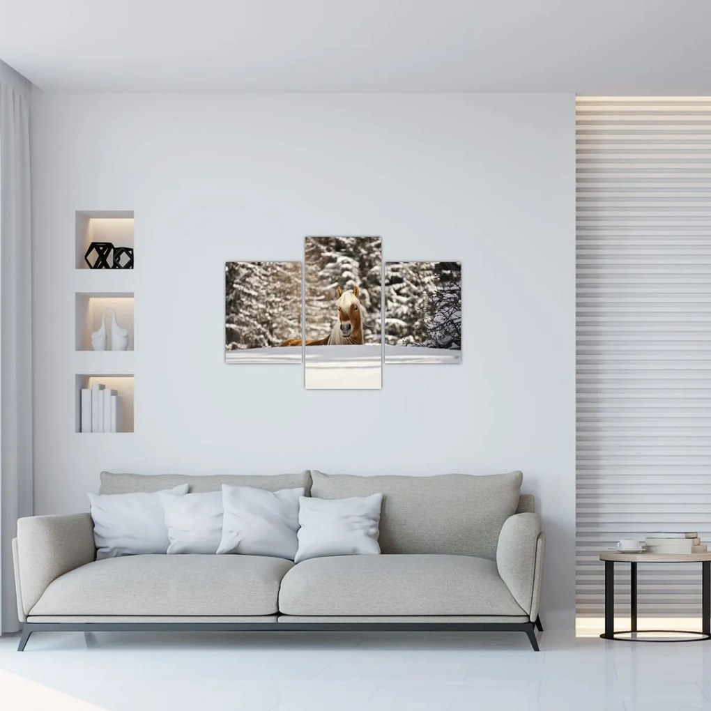 Tablou - Cal în peisaj de iarnă (90x60 cm)