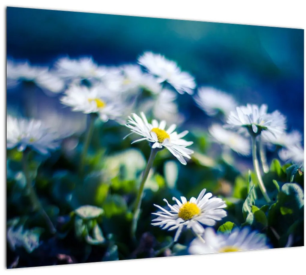 Tablou - Margarete (70x50 cm)