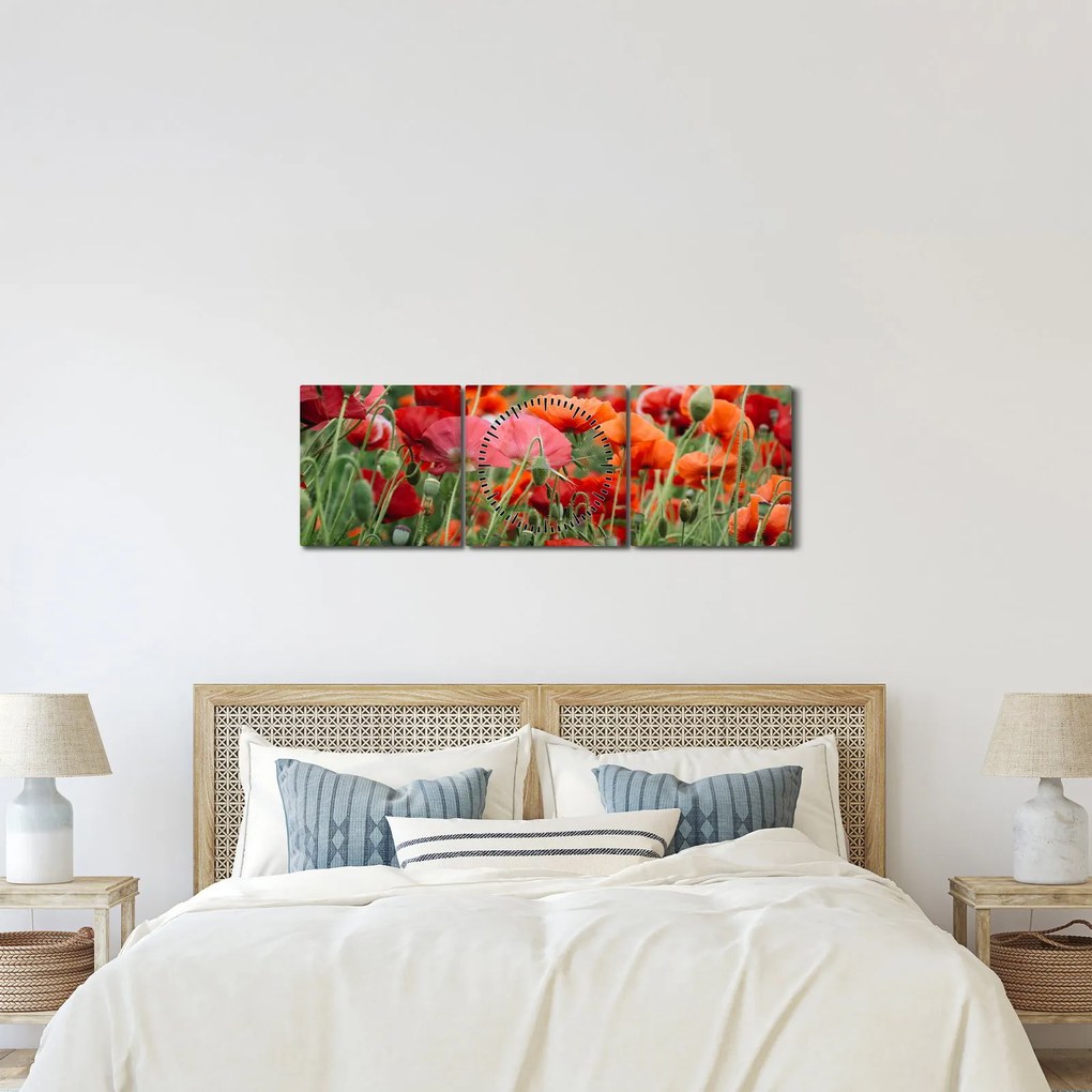 Tablou din câmp cu maci (cu ceas) (90x30 cm)