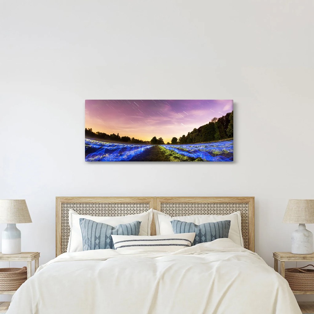 Tablou cu câmp colorat (120x50 cm)