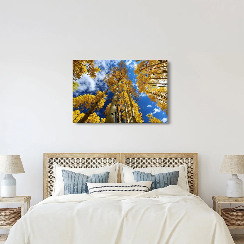 Tablou - Aspen (90x60 cm)
