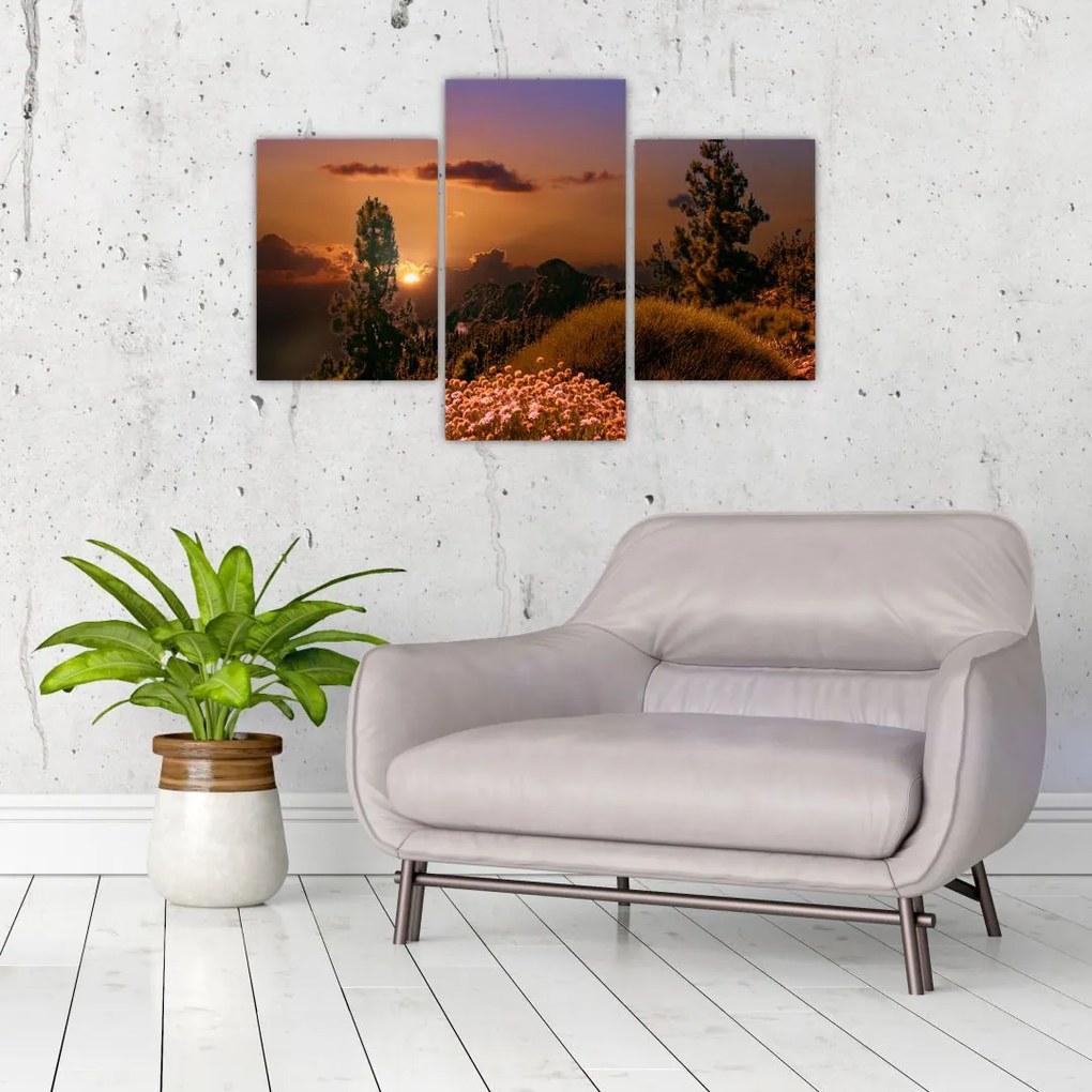 Tablou naturii cu apus de soare (90x60 cm)