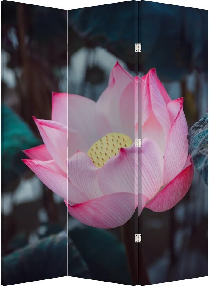 Paravan - Floare roz (126x170 cm)