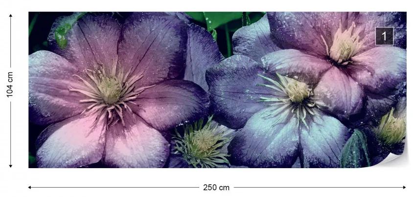 Fototapet Purple Flowers Photo