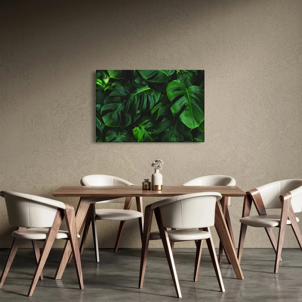 Tablou cu frunze Monstery (90x60 cm)