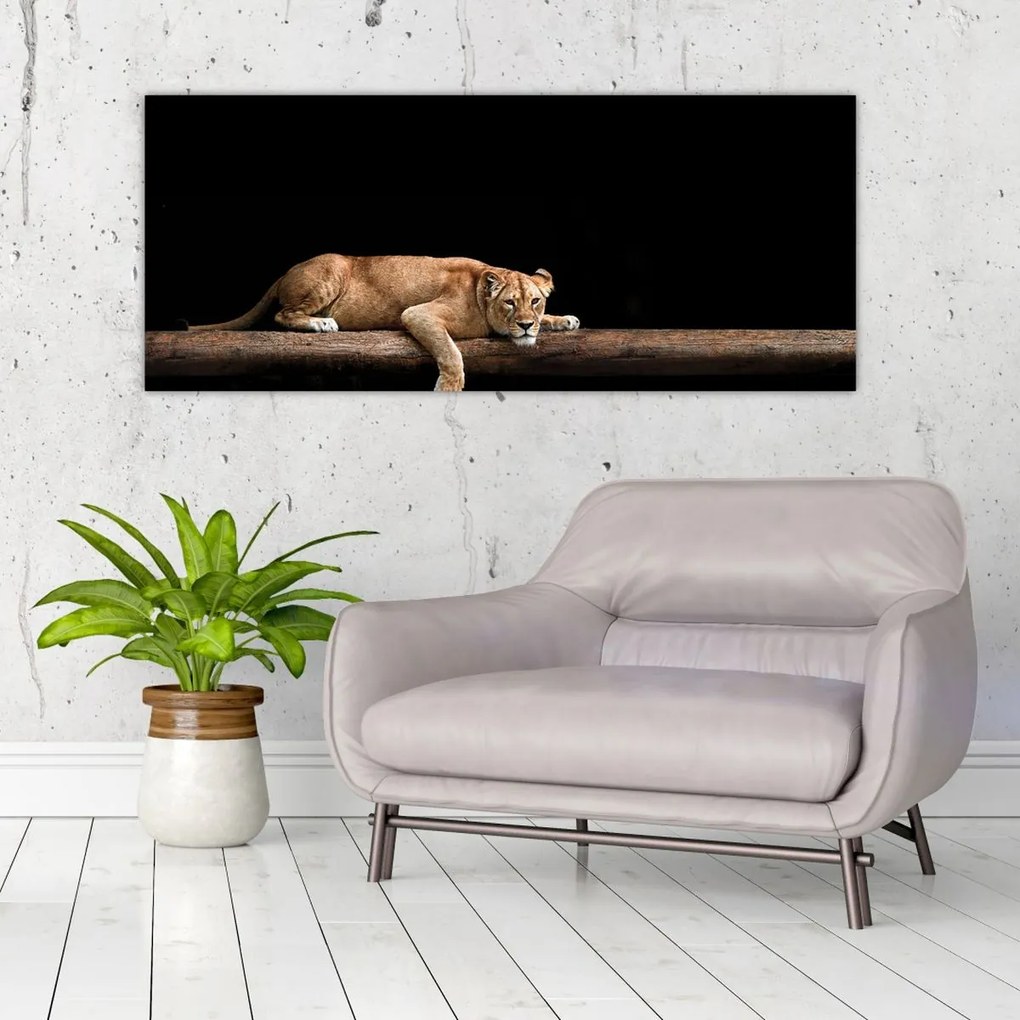 Tablou - Lioness (120x50 cm)