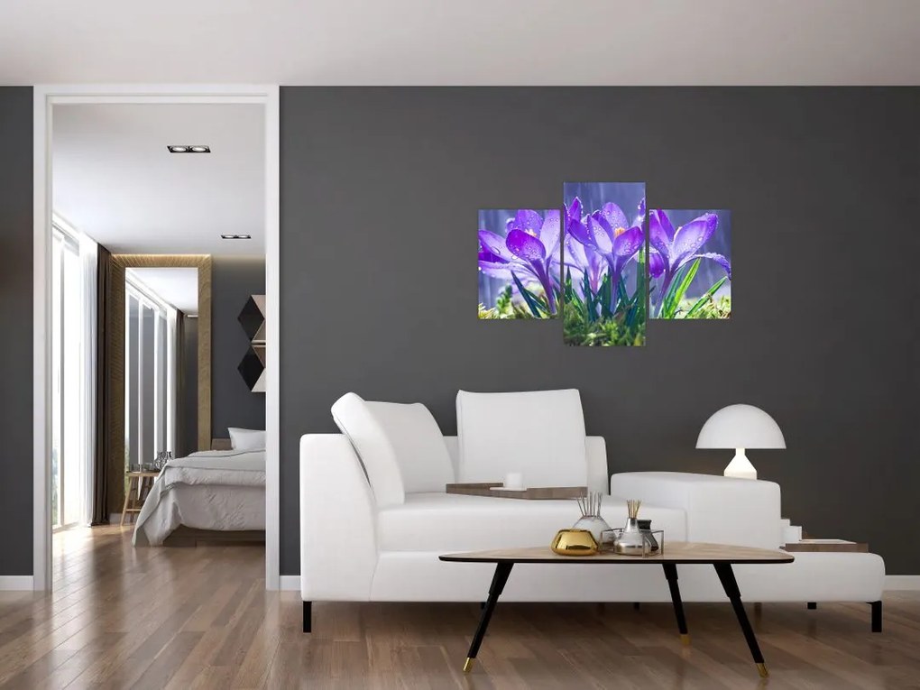 Tablou cuflori în ploaie (90x60 cm)