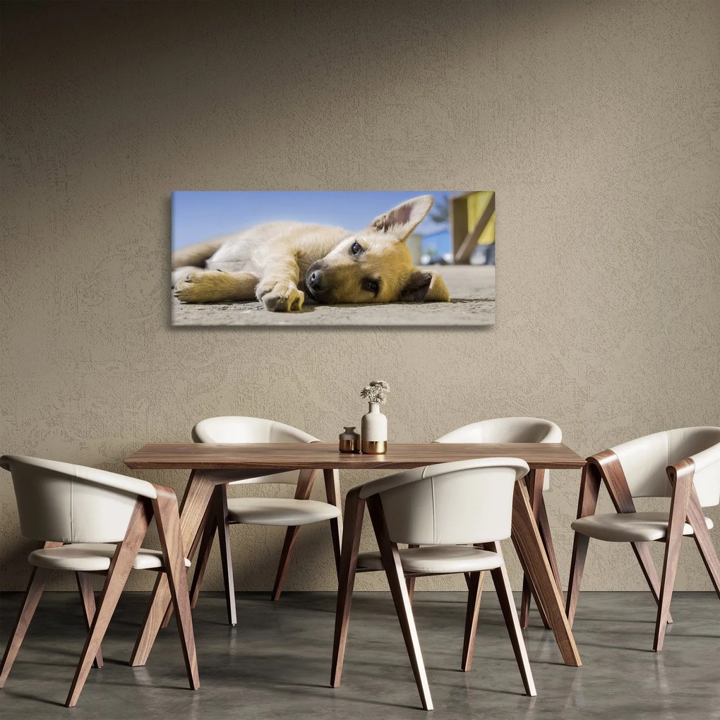 Tablou cu cățeluș dormind (120x50 cm)