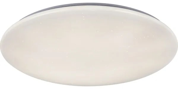 Rabalux 5445 DANNY - Plafonieră LED reglabilă, 36W/230V + telecomandă