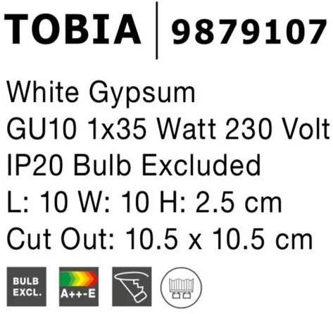 Spot din ghips incastrabil tavan fals TOBIA NVL-9879107